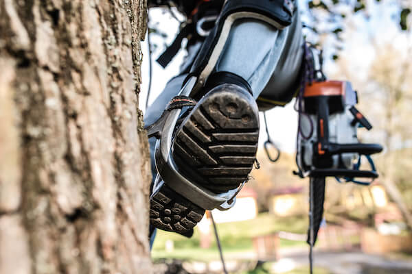 Arborist safety equipment