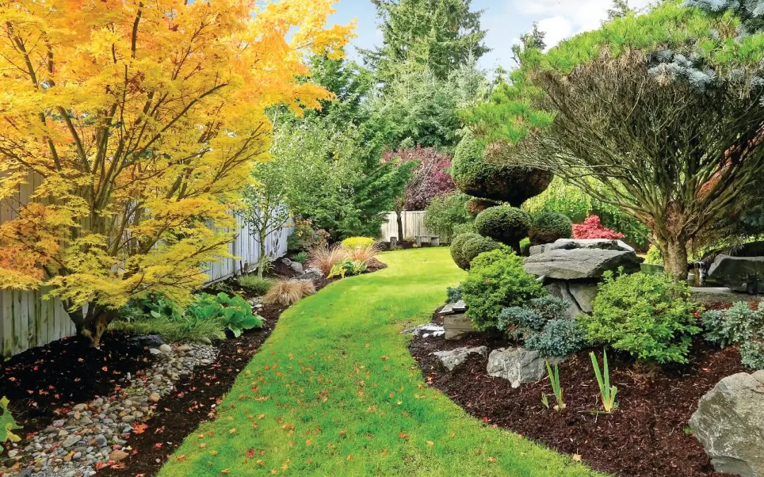 How to Identify a Dead Tree in Your Yard