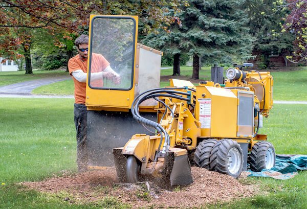 Man operating stump grinder