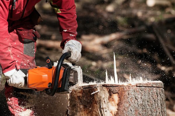 Manual stump removal