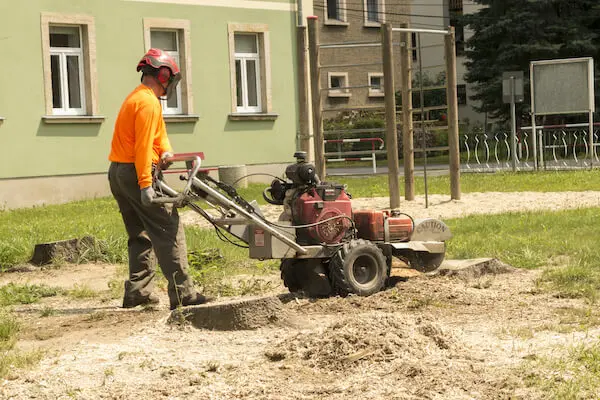 Stump grinding on local street