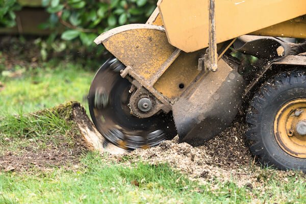 Stump removal in action