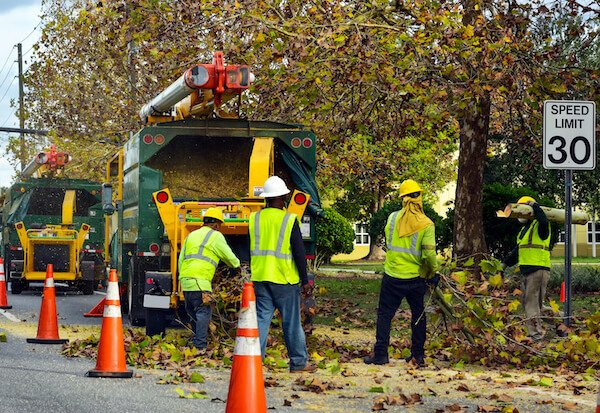 Trusted tree trimming service