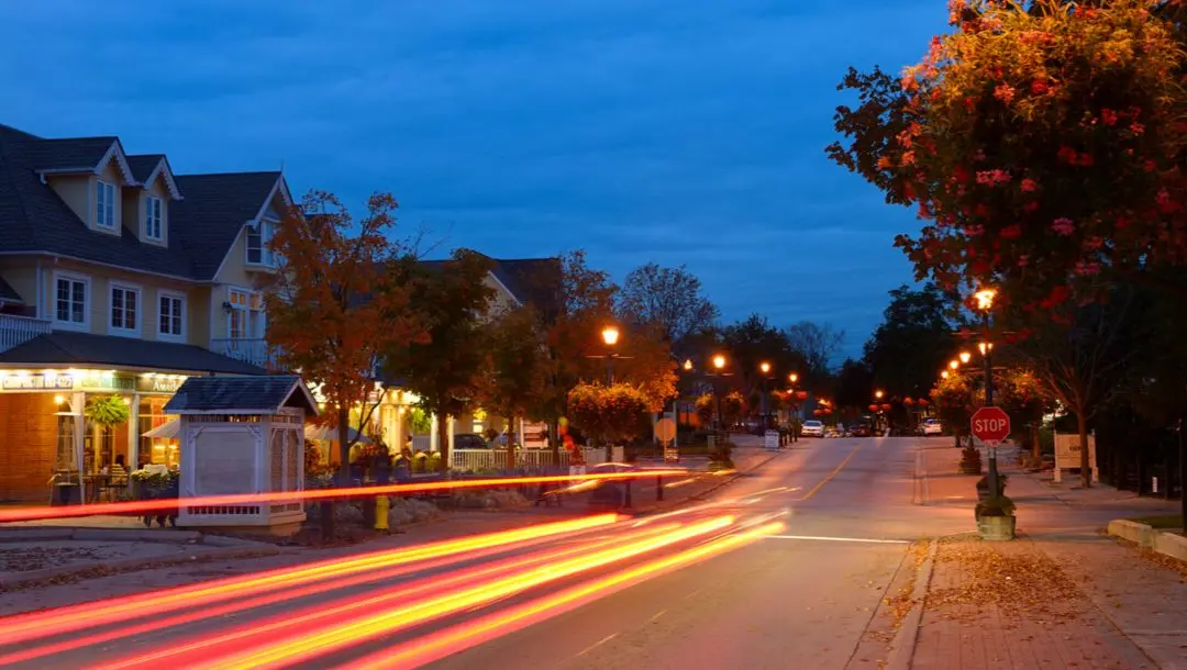 Vaughan Tree Removal By-Laws